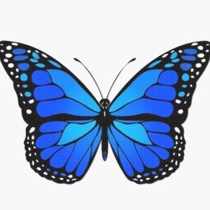 Meet your Posher, Eliana